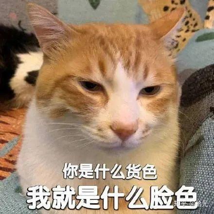 可爱到爆的表情包