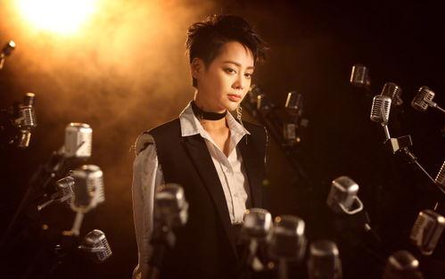 跨界歌王演员,演员们的音乐盛宴