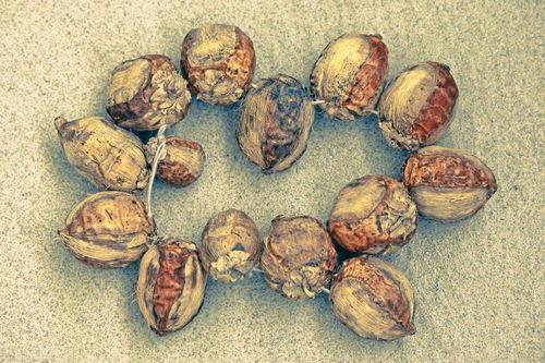 吃槟榔烂嘴巴图片